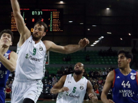 BSL: Darüşşafaka Doğuş - Anadolu Efes