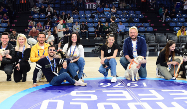 Pawder İş Birliğiyle Depremzede Köpekleri Sinan Erdem Spor Salonu’nda Ağırladık...